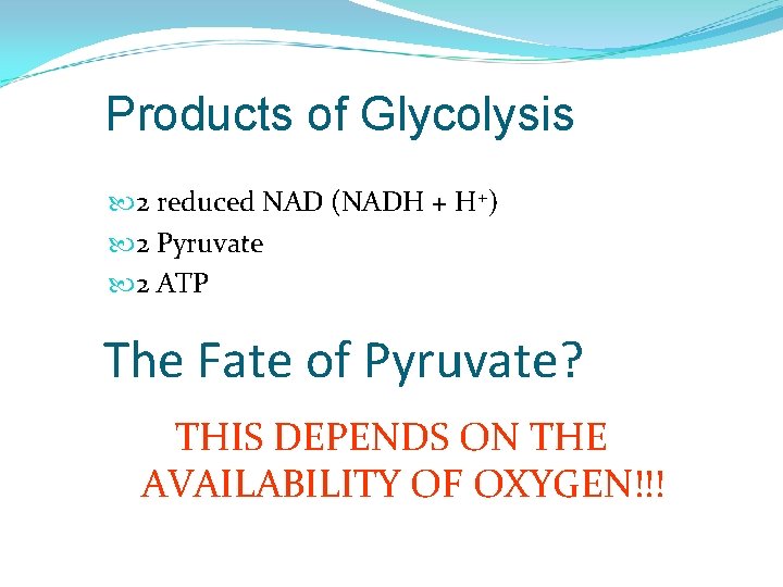 Products of Glycolysis 2 reduced NAD (NADH + H+) 2 Pyruvate 2 ATP The