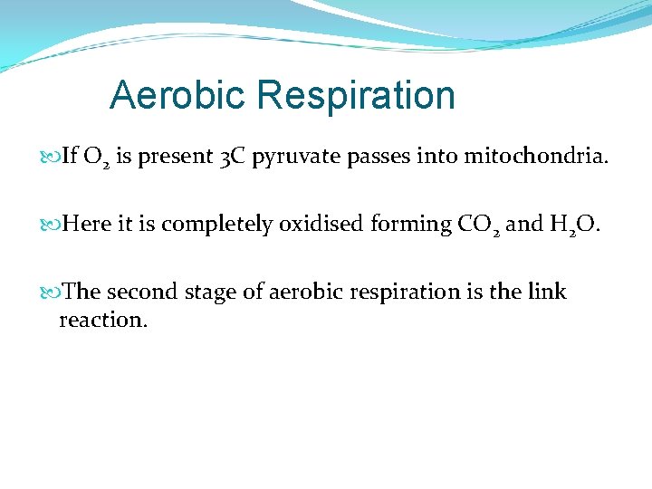 Aerobic Respiration If O 2 is present 3 C pyruvate passes into mitochondria. Here