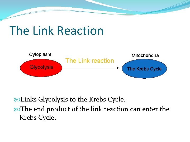 The Link Reaction Cytoplasm Glycolysis The Link reaction Mitochondria The Krebs Cycle Links Glycolysis