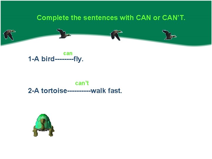 Complete the sentences with CAN or CAN’T. can 1 -A bird----fly. can’t 2 -A