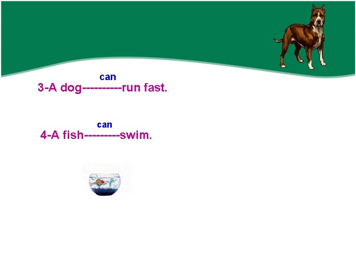 can 3 -A dog-----run fast. can 4 -A fish-----swim. 