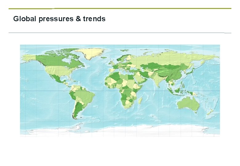 Global pressures & trends 