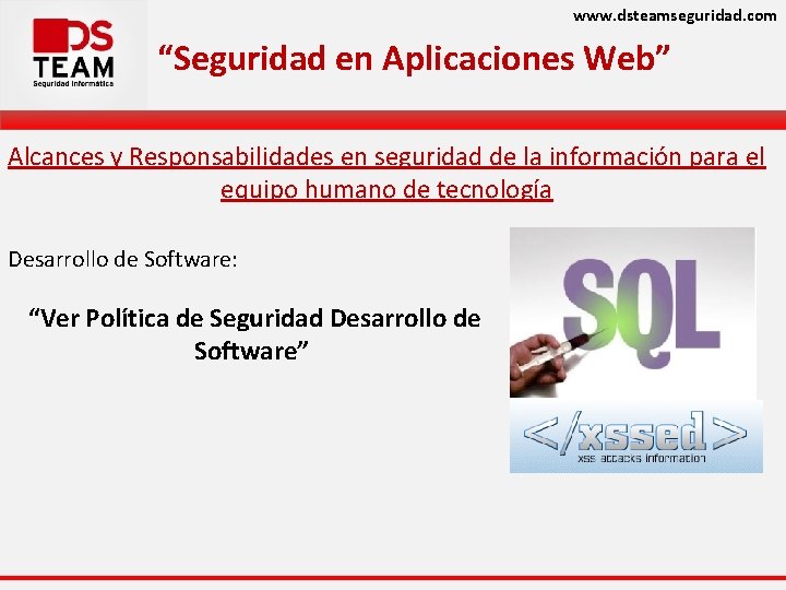 www. dsteamseguridad. com “Seguridad en Aplicaciones Web” Alcances y Responsabilidades en seguridad de la