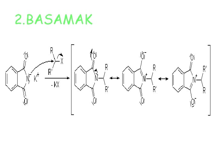 2. BASAMAK 