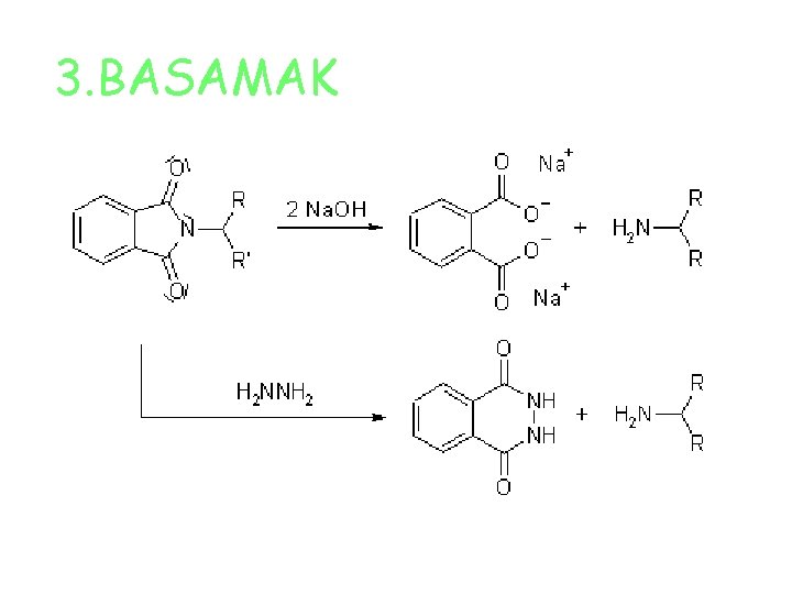 3. BASAMAK 