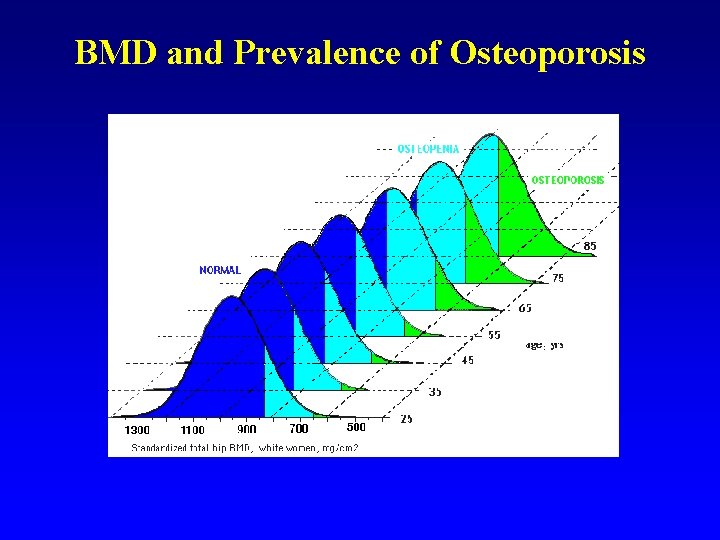 BMD and Prevalence of Osteoporosis 