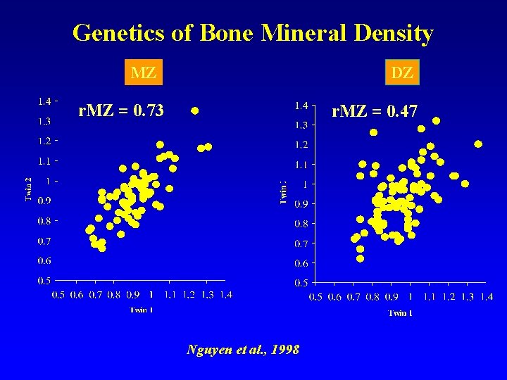 Genetics of Bone Mineral Density DZ MZ r. MZ = 0. 73 r. MZ