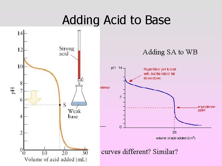 Adding Acid to Base Adding WA to SB Adding SA to WB In what