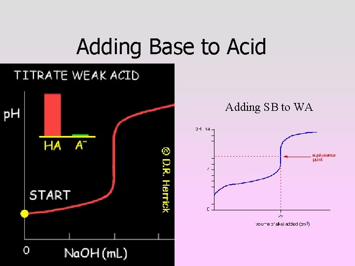 Adding Base to Acid Adding WB to SA Adding SB to WA 