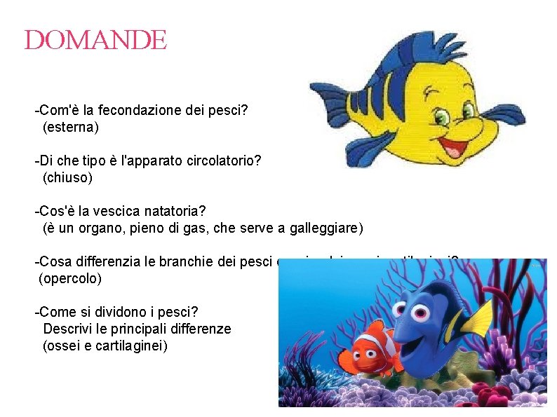 DOMANDE -Com'è la fecondazione dei pesci? (esterna) -Di che tipo è l'apparato circolatorio? (chiuso)