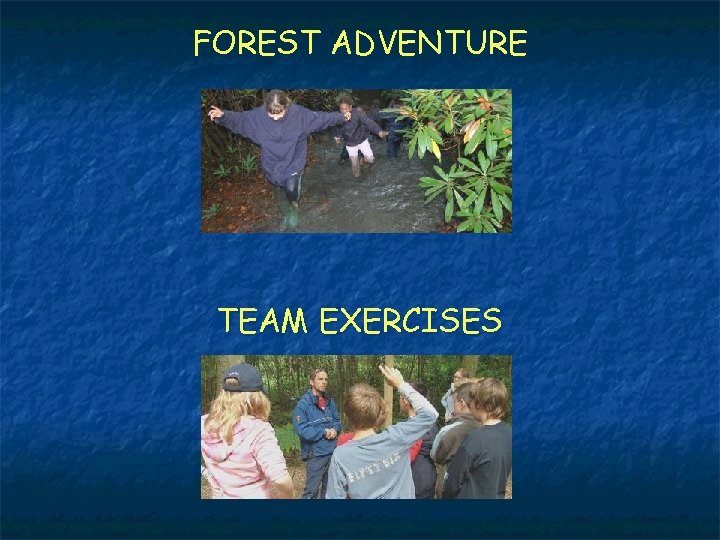 FOREST ADVENTURE TEAM EXERCISES 