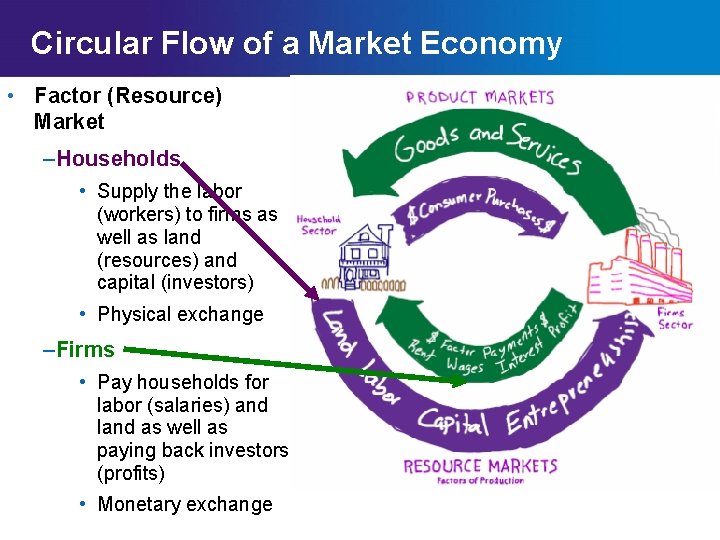 Circular Flow of a Market Economy • Factor (Resource) Market Circular Flow Diagram of