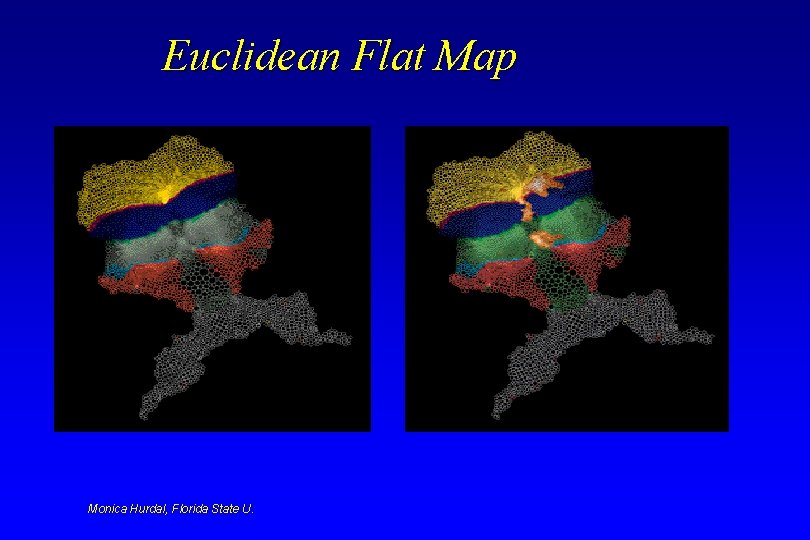 Euclidean Flat Map Monica Hurdal, Florida State U. Euclidean Flat Map Monica Hurdal, Florida State U.