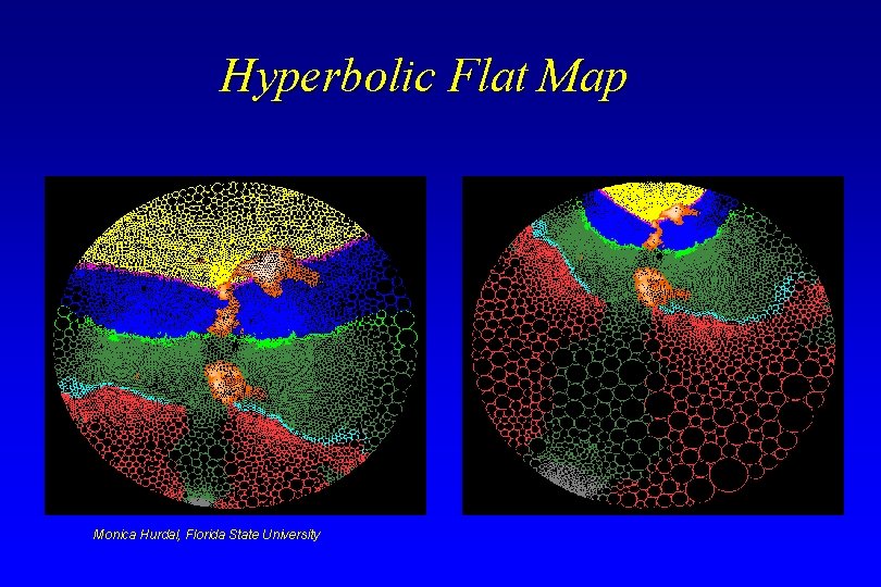 Hyperbolic Flat Map Monica Hurdal, Florida State University Hyperbolic Flat Map Monica Hurdal, Florida State University