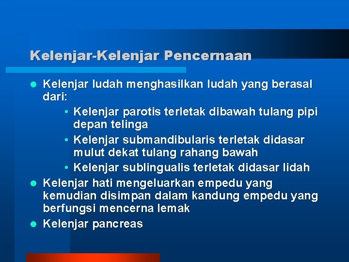 Kelenjar-Kelenjar Pencernaan Kelenjar ludah menghasilkan ludah yang berasal dari: • Kelenjar parotis terletak dibawah