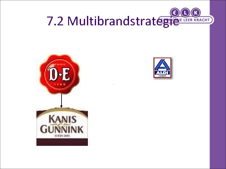 7. 2 Multibrandstrategie 