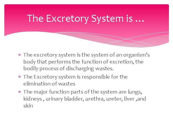 The Excretory System is … The excretory system is the system of an organism's