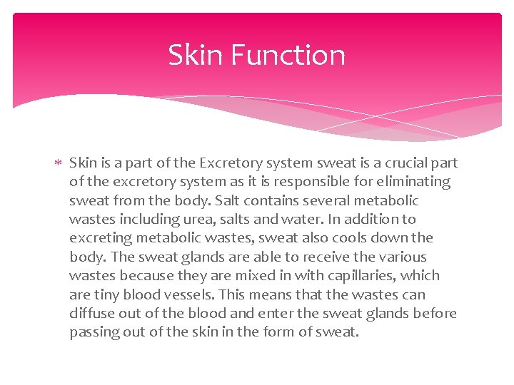 Skin Function Skin is a part of the Excretory system sweat is a crucial