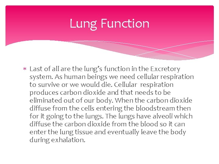 Lung Function Last of all are the lung’s function in the Excretory system. As