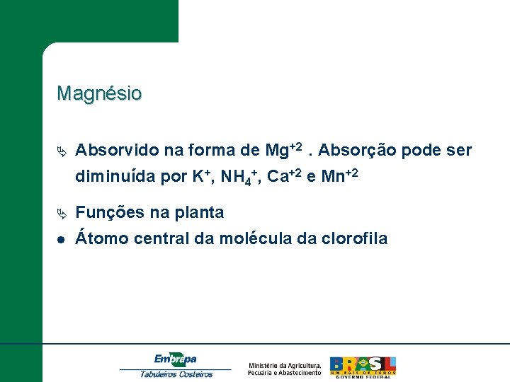 Magnésio Ä Absorvido na forma de Mg+2. Absorção pode ser diminuída por K+, NH