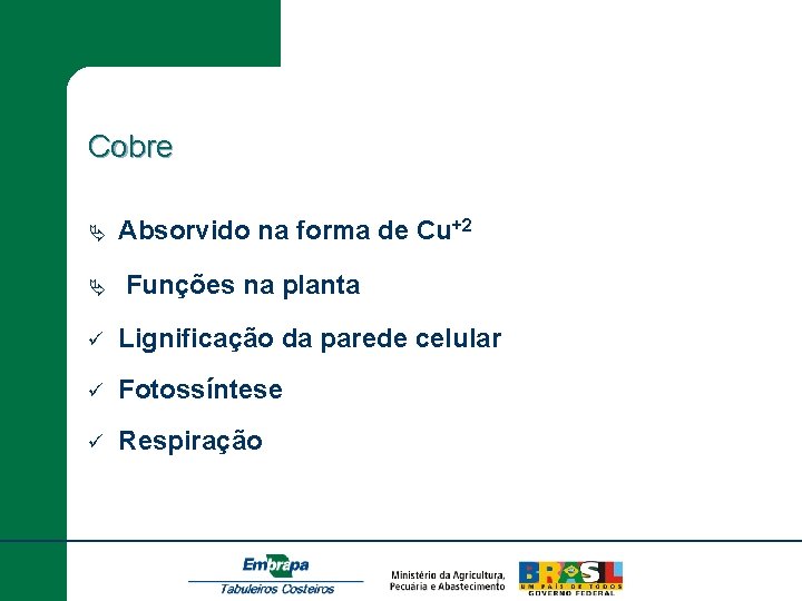 Cobre Ä Ä Absorvido na forma de Cu+2 Funções na planta ü Lignificação da