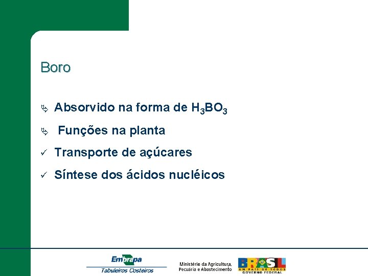 Boro Ä Ä Absorvido na forma de H 3 BO 3 Funções na planta