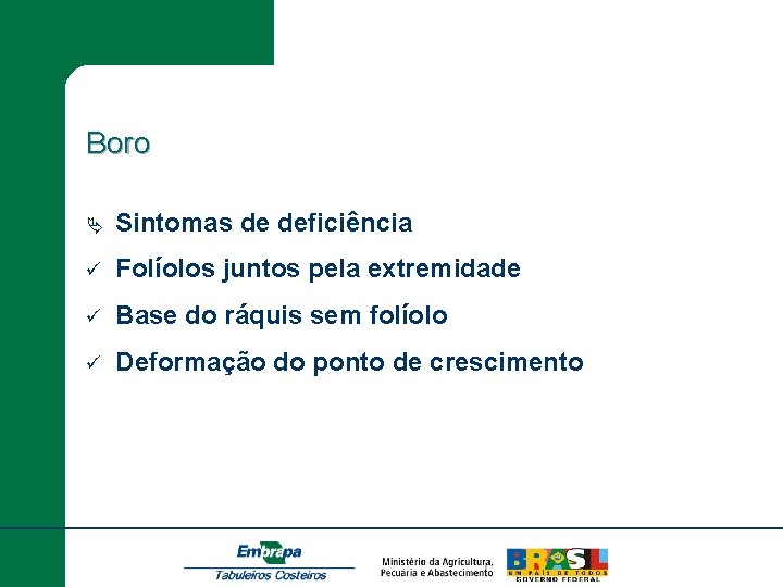 Boro Ä Sintomas de deficiência ü Folíolos juntos pela extremidade ü Base do ráquis