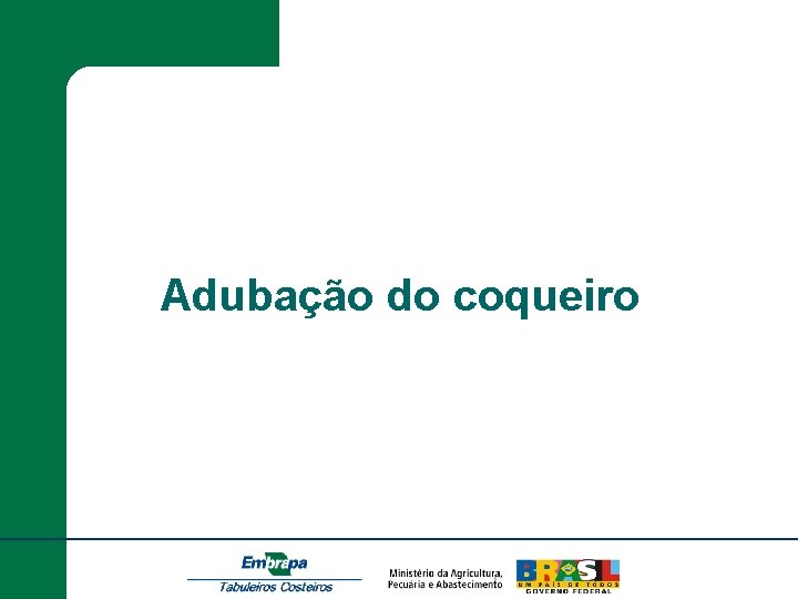 Adubação do coqueiro 