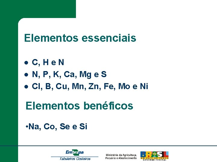Elementos essenciais l l l C, H e N N, P, K, Ca, Mg