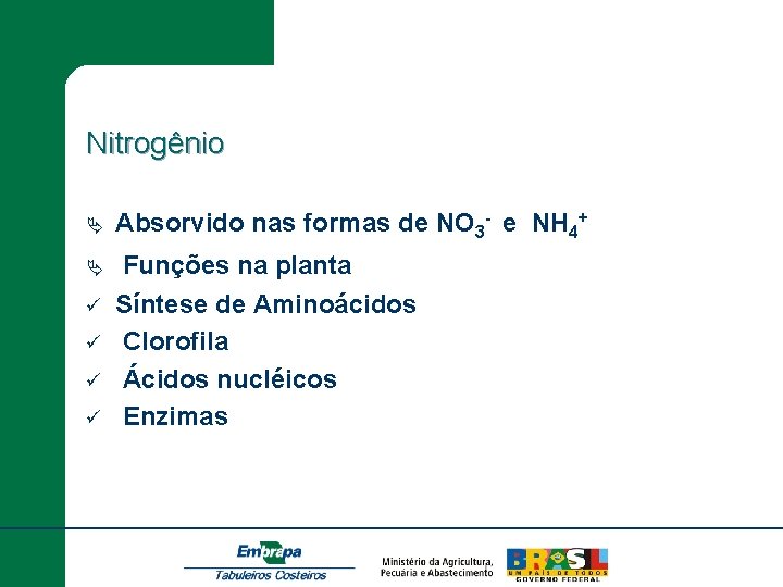 Nitrogênio Ä Absorvido nas formas de NO 3 - e NH 4+ Ä Funções