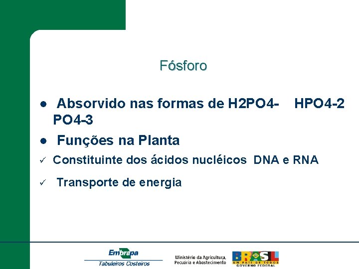 Fósforo l Absorvido nas formas de H 2 PO 4 -3 Funções na Planta