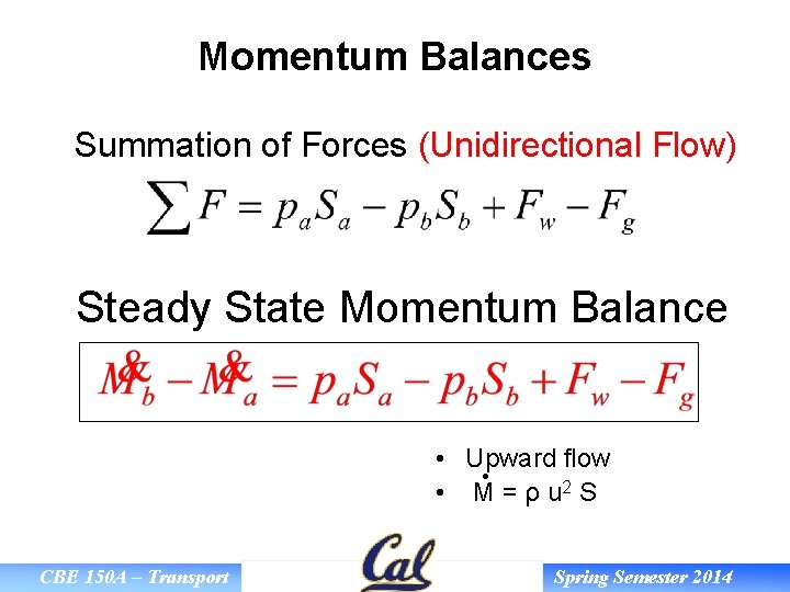 Momentum Balances Summation of Forces (Unidirectional Flow) Steady State Momentum Balance • Upward flow