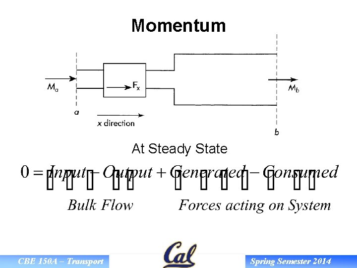 Momentum At Steady State CBE 150 A – Transport Spring Semester 2014 