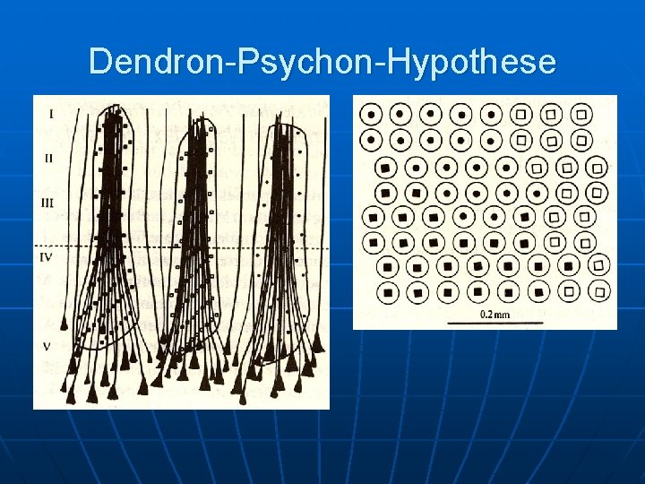 Dendron-Psychon-Hypothese 