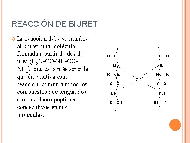 REACCIÓN DE BIURET La reacción debe su nombre al biuret, una molécula formada a