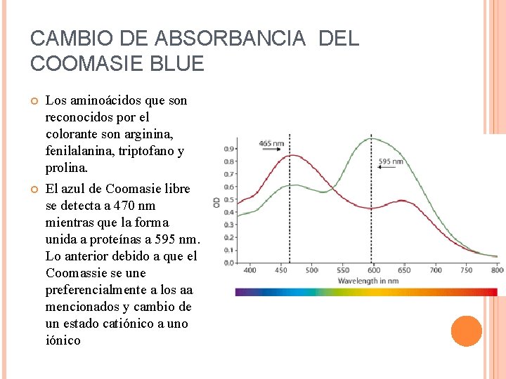 CAMBIO DE ABSORBANCIA DEL COOMASIE BLUE Los aminoácidos que son reconocidos por el colorante