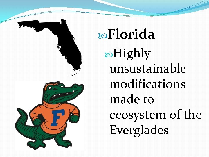  Florida Highly unsustainable modifications made to ecosystem of the Everglades 