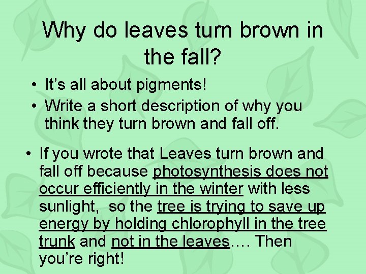 Why do leaves turn brown in the fall? • It’s all about pigments! •