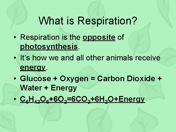 What is Respiration? • Respiration is the opposite of photosynthesis. • It’s how we