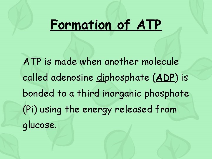 Formation of ATP is made when another molecule called adenosine diphosphate (ADP) is bonded