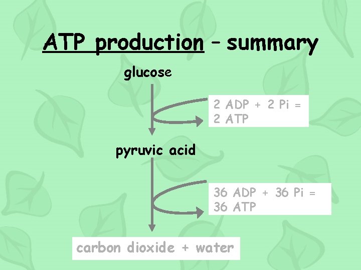 ATP production – summary glucose 2 ADP + 2 Pi = 2 ATP pyruvic
