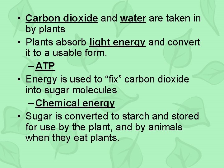  • Carbon dioxide and water are taken in by plants • Plants absorb