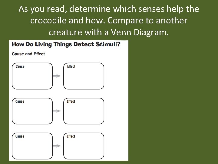 As you read, determine which senses help the crocodile and how. Compare to another