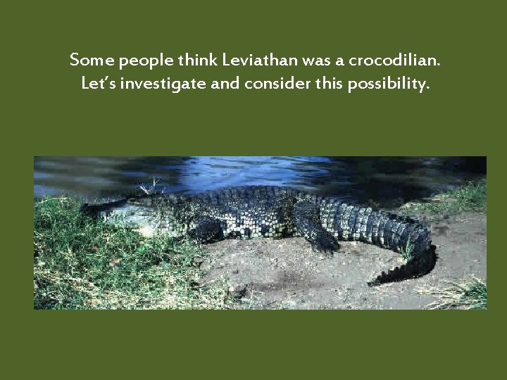 Some people think Leviathan was a crocodilian. Let’s investigate and consider this possibility. 