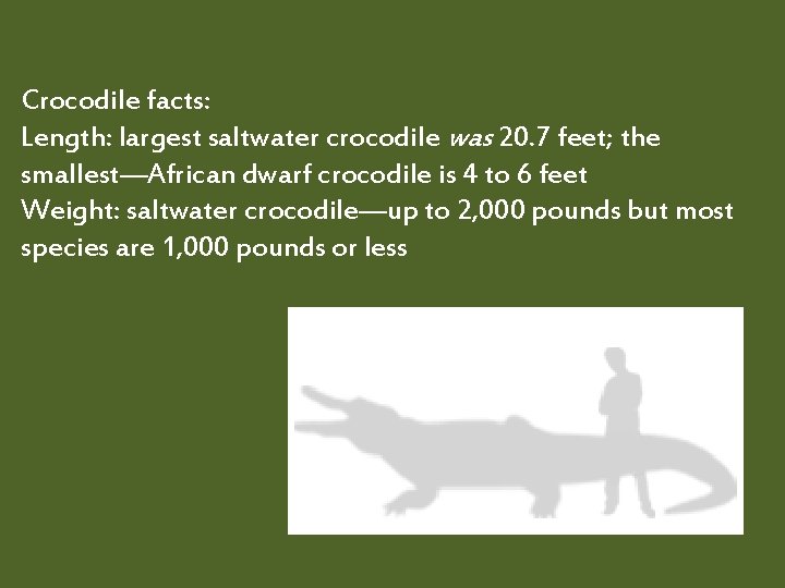 Crocodile facts: Length: largest saltwater crocodile was 20. 7 feet; the smallest—African dwarf crocodile