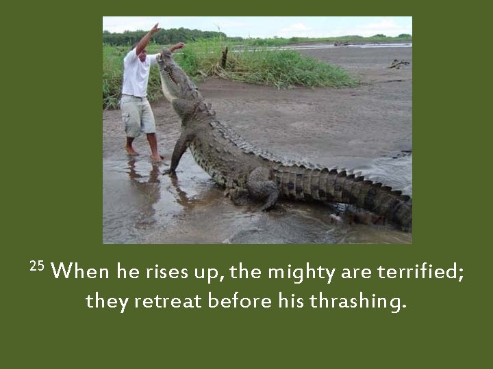 25 When he rises up, the mighty are terrified; they retreat before his thrashing.