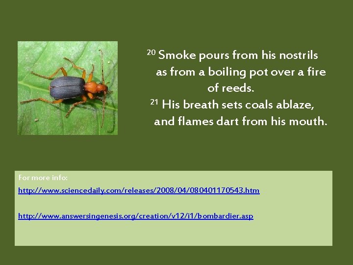  20 Smoke pours from his nostrils as from a boiling pot over a