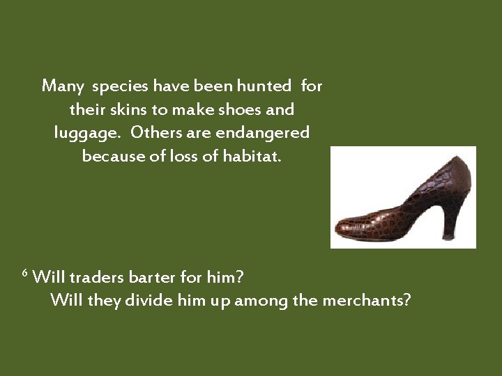 Many species have been hunted for their skins to make shoes and luggage. Others