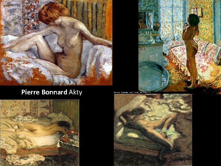 Pierre Bonnard Akty 