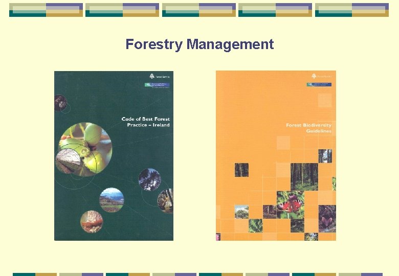 Biodiversity across the forest cycle in ash and